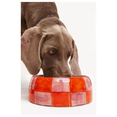 Afbeelding van Dogguo Block Dogbowl Oranje&amp;Roze Hondenvoerbak Ø20x9 cm Grote Honden