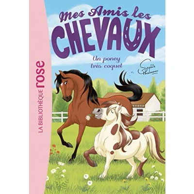 Afbeelding van Un poney très coquet