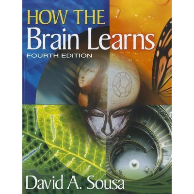 Afbeelding van How the Brain Learns