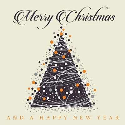 Afbeelding van V/A Merry Christmas and a Happy New Year (2 LPs)