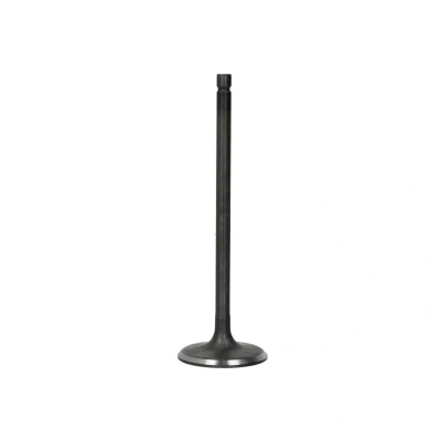Afbeelding van Inlaatklep FRECCIA R6603/SNT