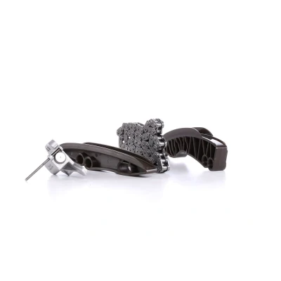 Afbeelding van Ina Distributieketting kit 559 0031 10