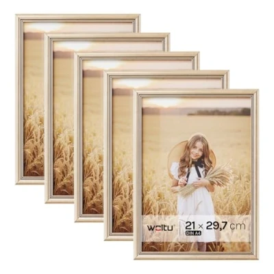 Afbeelding van WOLTU Fotolijst Artos Style 21 x 29,7 cm, houten lijst met glas, decoratie voor in huis, 5 stuks, goud BRU9894gd