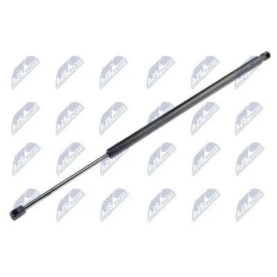Afbeelding van NTY AE CH 024 Gasveer achterklep 765 655