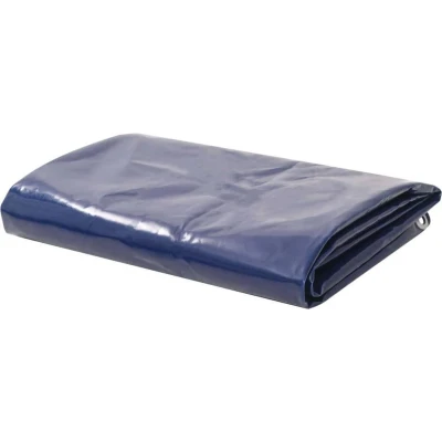 Afbeelding van Dekzeil 650 g/m² 5x6 m blauw
