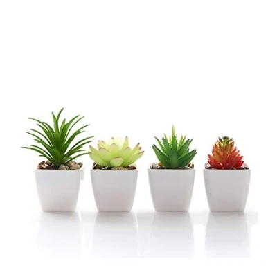 Afbeelding van Artistiek vetplanten namaasplant mini plaats witte bloempot kamer familie tuin interieur decoratie groen