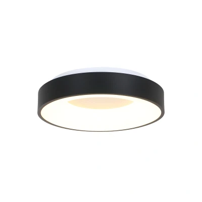 Afbeelding van Steinhauer Plafondlamp Ceiling and Wall Zwart