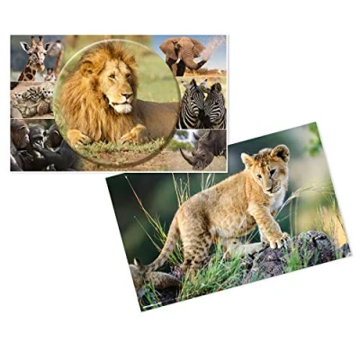 Afbeelding van HERMA Schrijfonderlegger Afrika dieren 55x35 cm van stevig karton antislip, afwasbaar en aan beide zijden bedrukt 19676