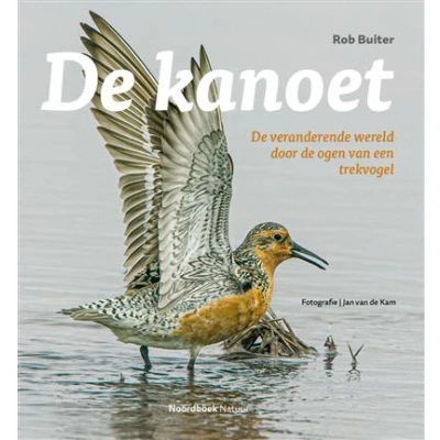 Image de De kanoet