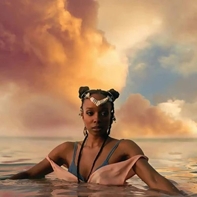 Afbeelding van Jamila Woods Heavn (LP)