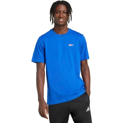 Afbeelding van adidas Sportswear T shirt Graphic Vlag Heren Blauw 2XL