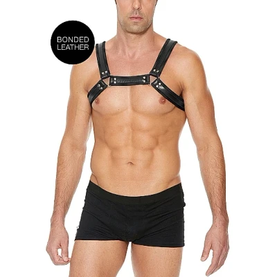 Afbeelding van Buckle Bulldog Harness Zwart