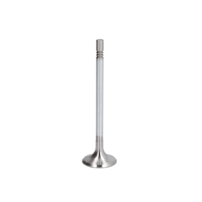 Afbeelding van Inlaatklep FRECCIA R6473/SCR