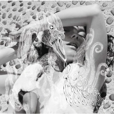 Afbeelding van Bjork Vespertine (2 LPs)