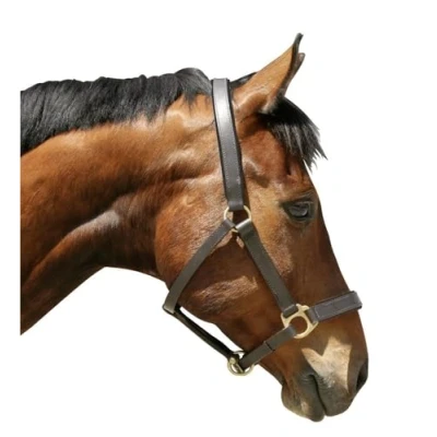 Afbeelding van Kerbl Leren Halster Eco Bruin Cob Halsters Ruitershop Bustotaal.nl