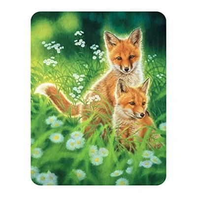 Afbeelding van 3D LiveLife Joh Naito Magneetvos, lente, deluxebase, krachtig, voor koelkast, decoratieve magneet, kinderen en volwassenen, met illustraties onder licentieproduct,