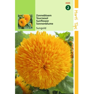 Afbeelding van Helianthus Annuus Sungold Dubbelbl. Hoog Hortitops