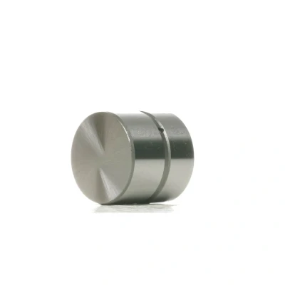 Afbeelding van AE FOL206 Klepstoters Hydraulisch Afvoerzijde, Inlaatzijde PEUGEOT: 307 Estate, 308 I SW, Partner Origin Van, CITROËN: C2 Hatchback, C8