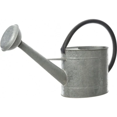 Afbeelding van Gieter Decoris Grijs Zink (5 L)