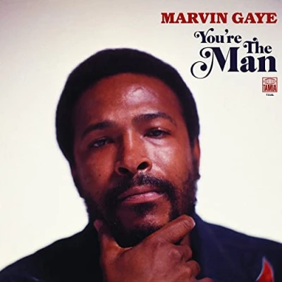 Afbeelding van Marvin Gaye You&#039;re The Man