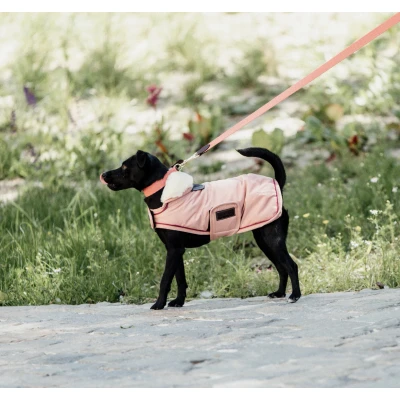 Image de Kentucky Veste pour Chien Waterproof 160g Corail 31cm