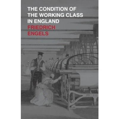 Afbeelding van the Condition of Working Class in England