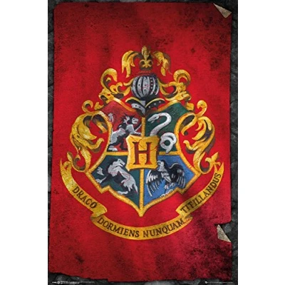 Afbeelding van Harry Potter Poster 61X91 Hogwarts Flag