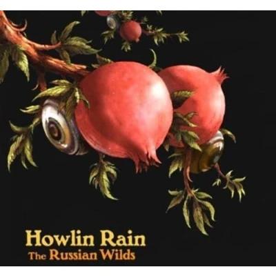 Afbeelding van Howlin Rain The Russian Wilds (CD)