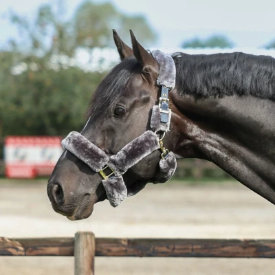 Image de Bucas Licol Show Line Fur Marine/Gris Xfull