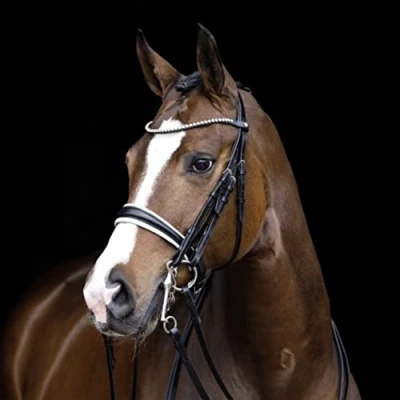 Afbeelding van HKM Stang en Trenshoofdstel Dina Zwart Pony