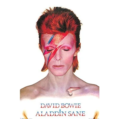 Afbeelding van David Bowie Aladdin Sane Poster 61x91.5cm