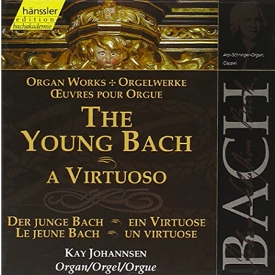 Afbeelding van Kay Johannsen The Young Bach A Virtuoso (Organ (CD)