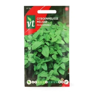 Afbeelding van Citroenmelisse Zaden Aromatisch Kruid voor Thee, Salades en Desserts