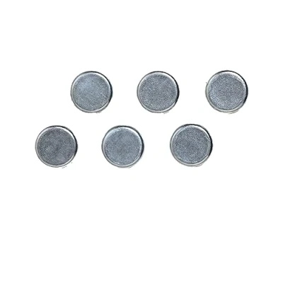 Afbeelding van FRANKEN chroom staafmagneet 10 mm