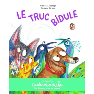 Afbeelding van LE TRUC BIDULE