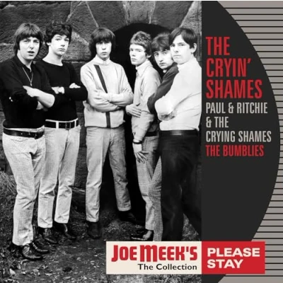 Afbeelding van Cryin&#039; Shames Please Stay (LP)