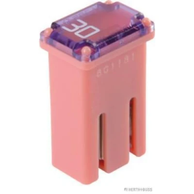 Afbeelding van HERTH+BUSS ELPARTS 50295355 Zekering 30 roze 32