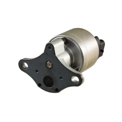 Afbeelding van Hella EGR klep 6NU 010 171 601