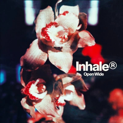 Afbeelding van Inhaler Open Wide (LP)