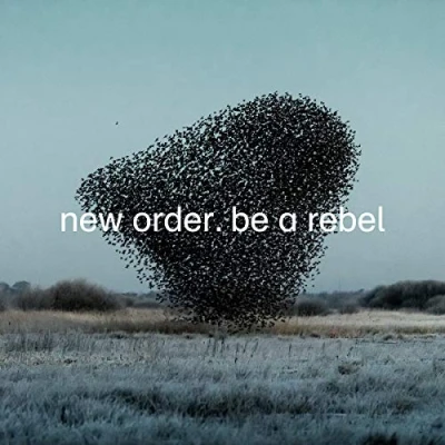 Afbeelding van New Order Be a Rebel (Single)