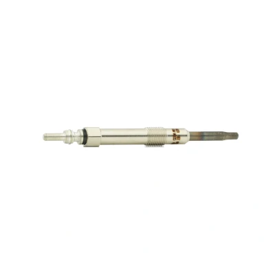 Afbeelding van Gloeibougie BorgWarner (BERU) GN097
