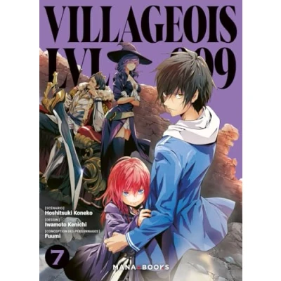 Afbeelding van VILLAGEOIS LVL 999,07