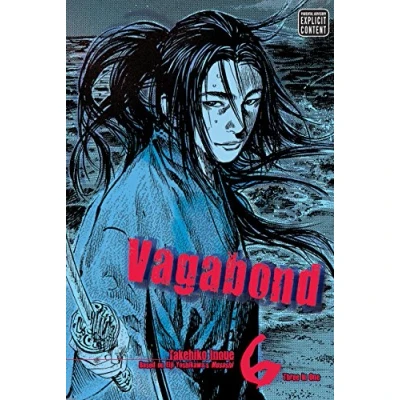 Afbeelding van Vagabond (VIZBIG Edition), Vol. 6