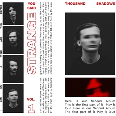 Afbeelding van You Said Strange Thousand Shadows Vol.1 (CD)