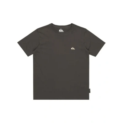 Afbeelding van Quiksilver Tshirt basic voor kinderen, Maat: 140, Krp