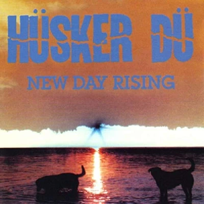 Afbeelding van New Day Rising (LP)
