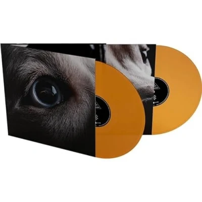 Afbeelding van the Dark Side of Moon