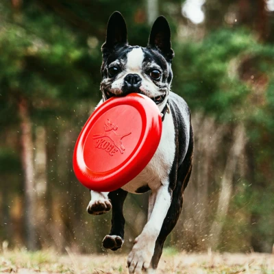 Afbeelding van Frisbee Voor Hond Met Bacongeur