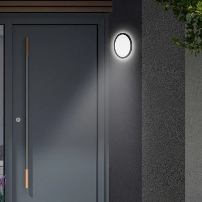 Afbeelding van TELEFUNKEN NIZZA LED buitenlamp, 4000K, IP44, 15W, zwart, kunststof, Ø28 cm