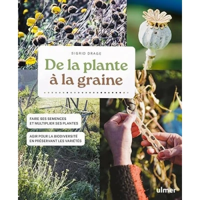 Afbeelding van DE LA PLANTE A GRAINE : FAIRE SES SEMENCES ET MULTIPLIER